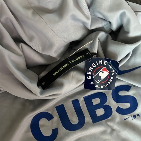 Cubs Blue and White Hoodie - Picture 4 of 6